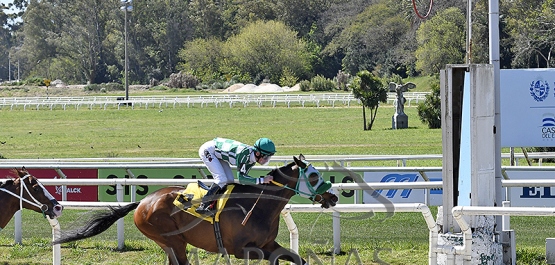 Domingo 1° de octubre de 2023 - Hipódromo Las Piedras