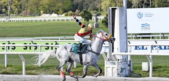 GRAN PREMIO DE HONOR