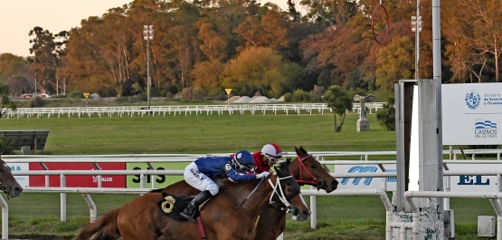 GRAN PREMIO SELECCIÓN