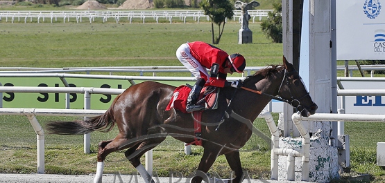 Sábado 7 de octubre de 2023 - Hipódromo Nacional de Maroñas