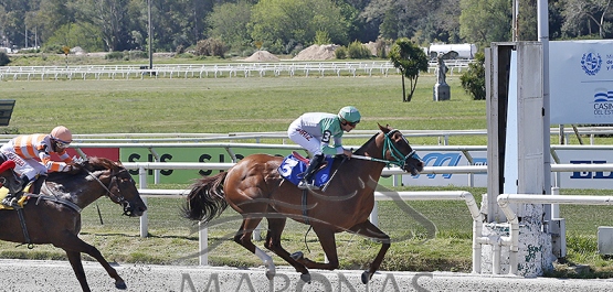 Domingo 8 de octubre de 2023 - Hipódromo Nacional de Maroñas