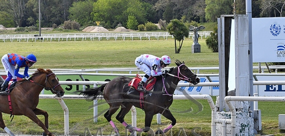 Sábado 14 de octubre de 2023 - Hipódromo Nacional de Maroñas