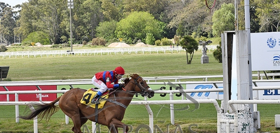 Domingo 15 de octubre de 2023 - Hipódromo Nacional de Maroñas