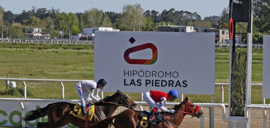 GRAN PREMIO DE HONOR