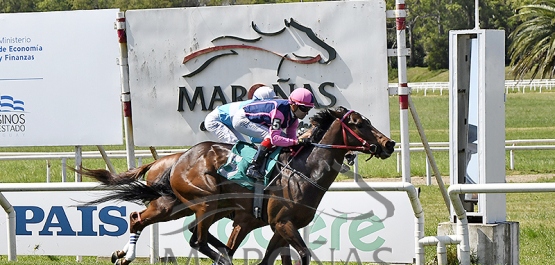 Domingo 29 de octubre de 2023 - Hipódromo Nacional de Maroñas