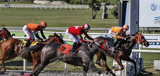 Sábado 4 de noviembre de 2023 - Hipódromo Nacional de Maroñas