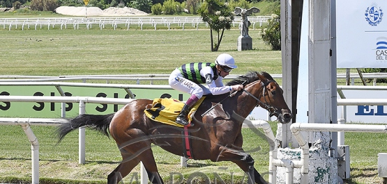 Domingo 5 de noviembre de 2023 - Hipódromo Nacional de Maroñas