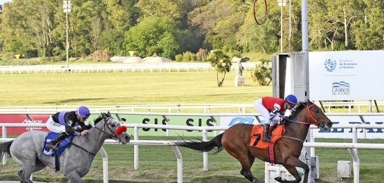 GRAN PREMIO NACIONAL