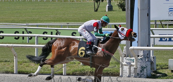 Sábado 11 de noviembre de 2023 - Hipódromo Nacional de Maroñas