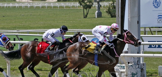 Domingo 12 de noviembre de 2023 - Hipódromo Nacional de Maroñas