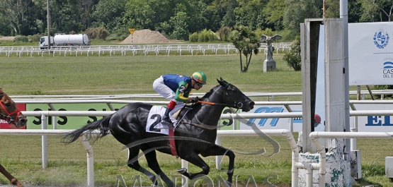 Domingo 19 de noviembre de 2023 - Hipódromo Nacional de Maroñas