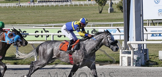 Viernes 24 de noviembre de 2023 - Hipódromo Nacional de Maroñas