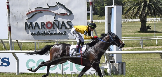 Domingo 26 de noviembre de 2023 - Hipódromo Nacional de Maroñas