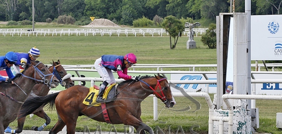 Sábado 2 de diciembre de 2023 - Hipódromo Nacional de Maroñas