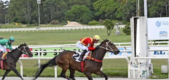 GRAN PREMIO COMPARACIÓN