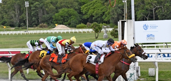 GRAN PREMIO ESTÍMULO