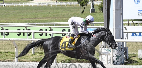 Sábado 9 de diciembre de 2023 - Hipódromo Nacional de Maroñas