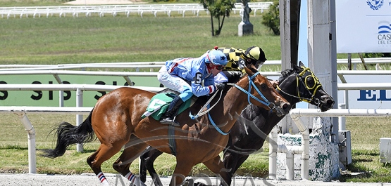 Domingo 10 de diciembre de 2023 - Hipódromo Nacional de Maroñas