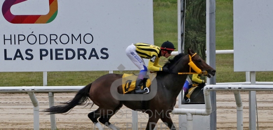 Viernes 15 de diciembre de 2023 - Hipódromo Las Piedras