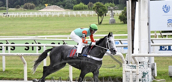 Domingo 17 de diciembre de 2023 - Hipódromo Nacional de Maroñas