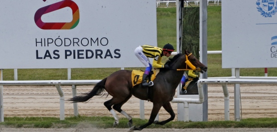 CLÁSICO ENSAYO