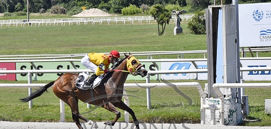 Sábado 23 de diciembre de 2023 - Hipódromo Nacional de Maroñas