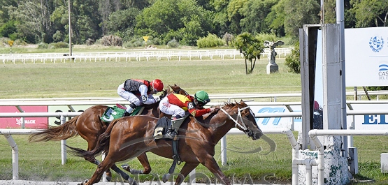 Sábado 30 de diciembre de 2023 - Hipódromo Nacional de Maroñas