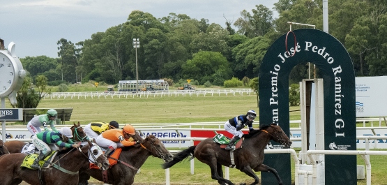 GRAN PREMIO PEDRO PIÑEYRÚA (G 3) - COPA LABORATORIOS MICROSULES