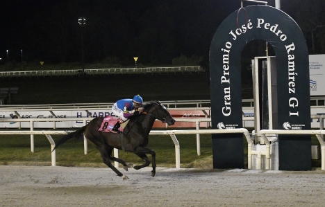 GRAN PREMIO JOSÉ PEDRO RAMÍREZ - COPA EL PAÍS (G 1)