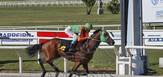 Viernes 12 de enero de 2024 - Hipódromo Nacional de Maroñas