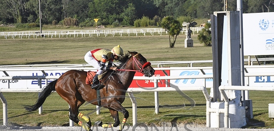 Sábado 27 de enero de 2024 Hipódromo de Maroñas