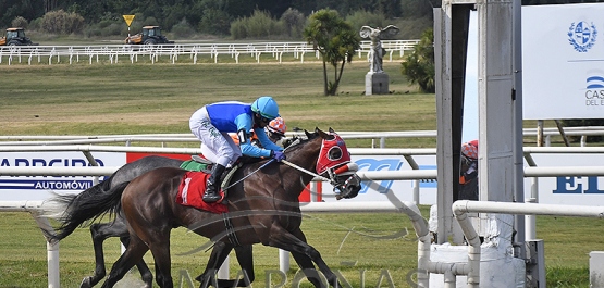 Sábado 3 de febrero de 2024 - Hipódromo Nacional de Maroñas