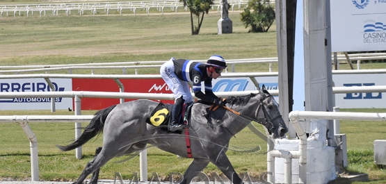 Domingo 4 de febrero de 2024 - Hipódromo Nacional de Maroñas