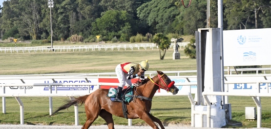 CLÁSICO LOS HARAS