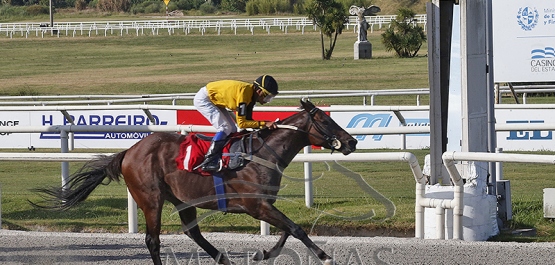 Viernes 9 de febrero de 2024 - Hipódromo Nacional de Maroñas