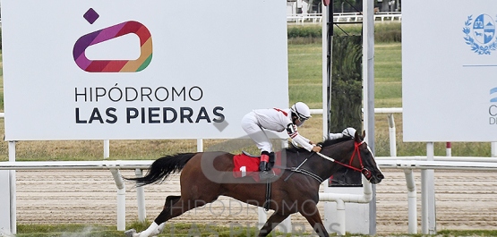 Sábado 10 de febrero de 2024 - Hipódromo Las Piedras