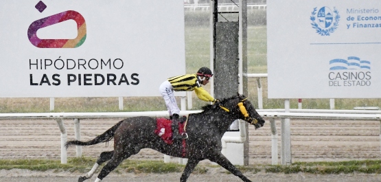 GRAN PREMIO JOCKEY CLUB