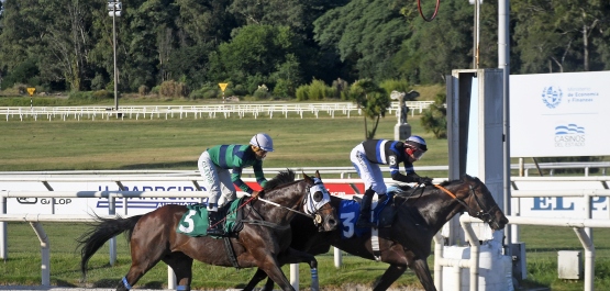 CLÁSICO FRANCISCO Y ALBERTO MILIA