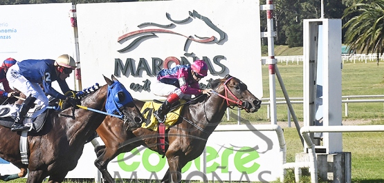 Sábado 17 de febrero de 2024 - Hipódromo Nacional de Maroñas