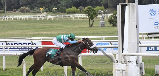 Domingo 18 de febrero de 2024 - Hipódromo Nacional de Maroñas