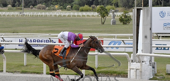 Domingo 25 de febrero de 2023 - Hipódromo Nacional de Maroñas