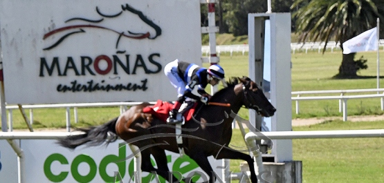 Domingo 3 de marzo de 2024 - Hipódromo Nacional de Maroñas