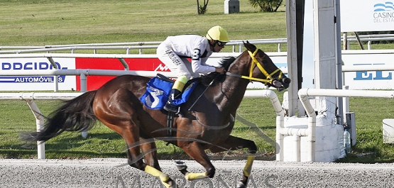 Viernes 8 de mazo de 2023 - Hipódromo Nacional de Maroñas