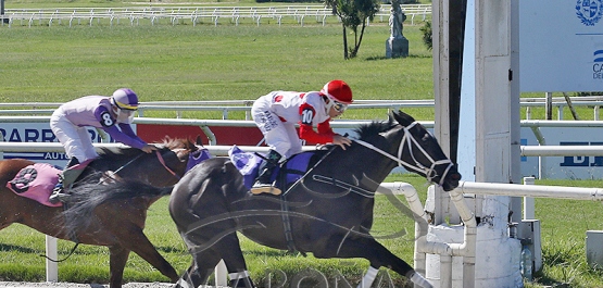 Domingo 17 de marzo de 2024 - Hipódromo Nacional de Maroñas