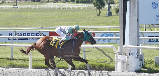 Domingo 24 de marzo de 2024 - Hipódromo Nacional de Maroñas