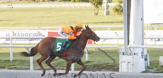 Viernes 29 de marzo de 2024 - Hipódromo Nacional de Maroñas