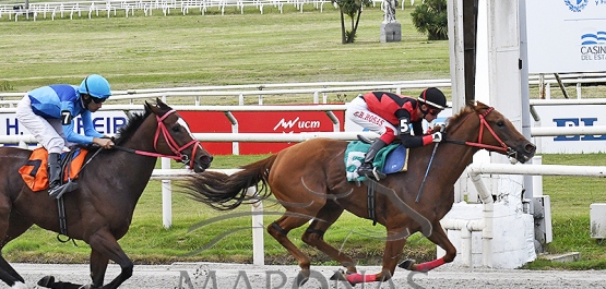 Sábado 6 de abril de 2024 - Hipódromo Nacional de Maroñas