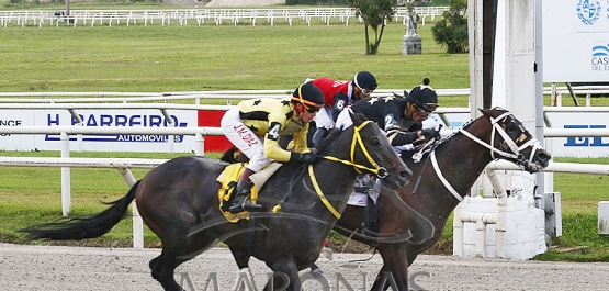 Sábado 13 de abril de 2024 - Hipódromo Nacional de Maroñas