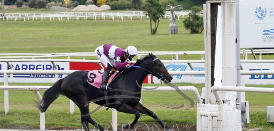 Domingo 14 de abril de 2024 - Hipódromo Nacional de Maroñas