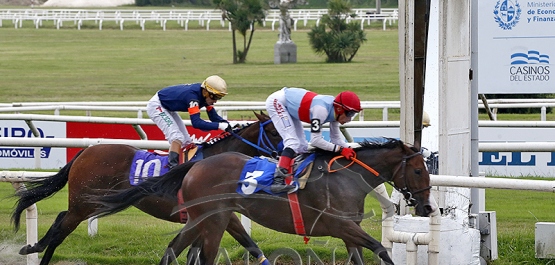 Domingo 21 de abril de 2024 - Hipódromo Nacional de Maroñas